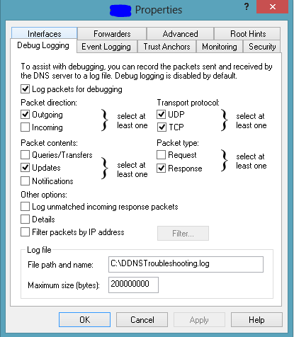 DNS Debug Logging