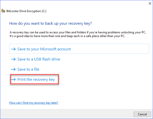 Print BitLocker recovery key option