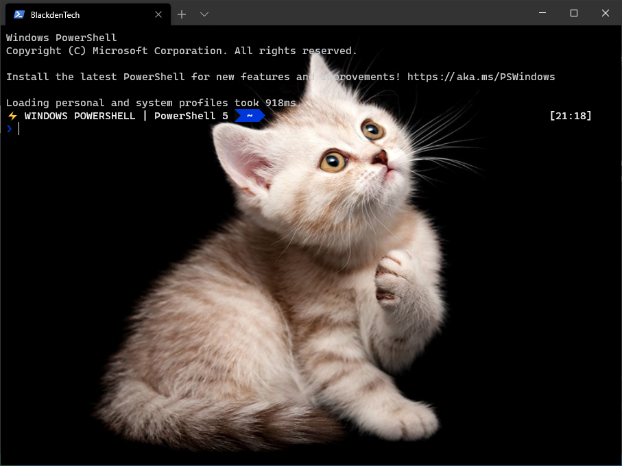 Images in New Windows terminal background