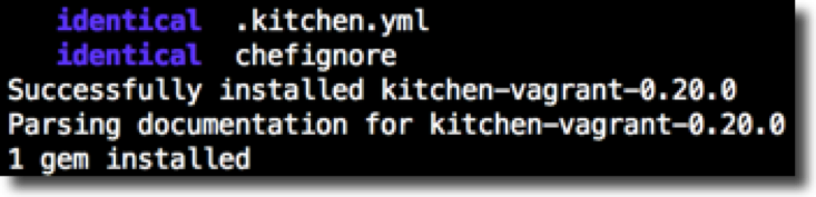 kitchen init