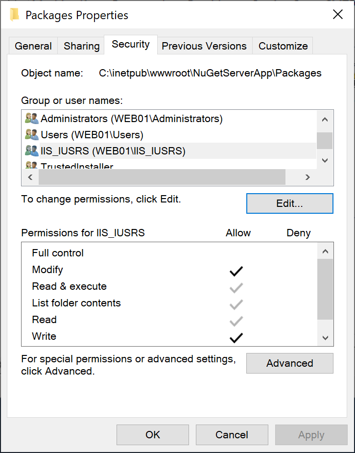 NuGet and IIS on Windows Server The Ultimate Guide