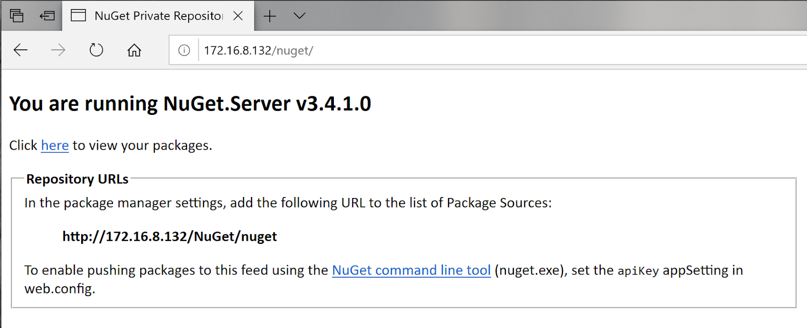 NuGet.Server packages page