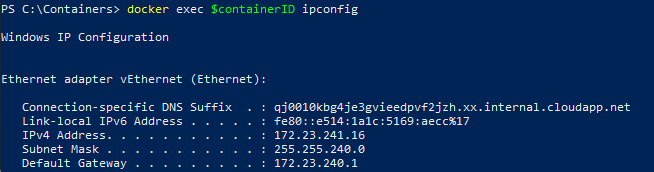 Running ipconfig in a Docker container
