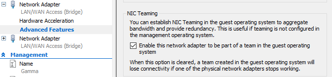 NIC Teaming Hyper-V option