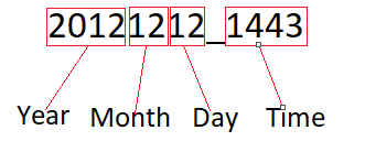 Date/Month/Day/Time Format