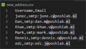 The new_address.csv file contents