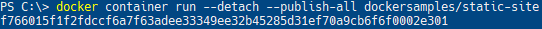 Docker container ID returned from running a container