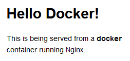 Resulting webpage running in the Docker container
