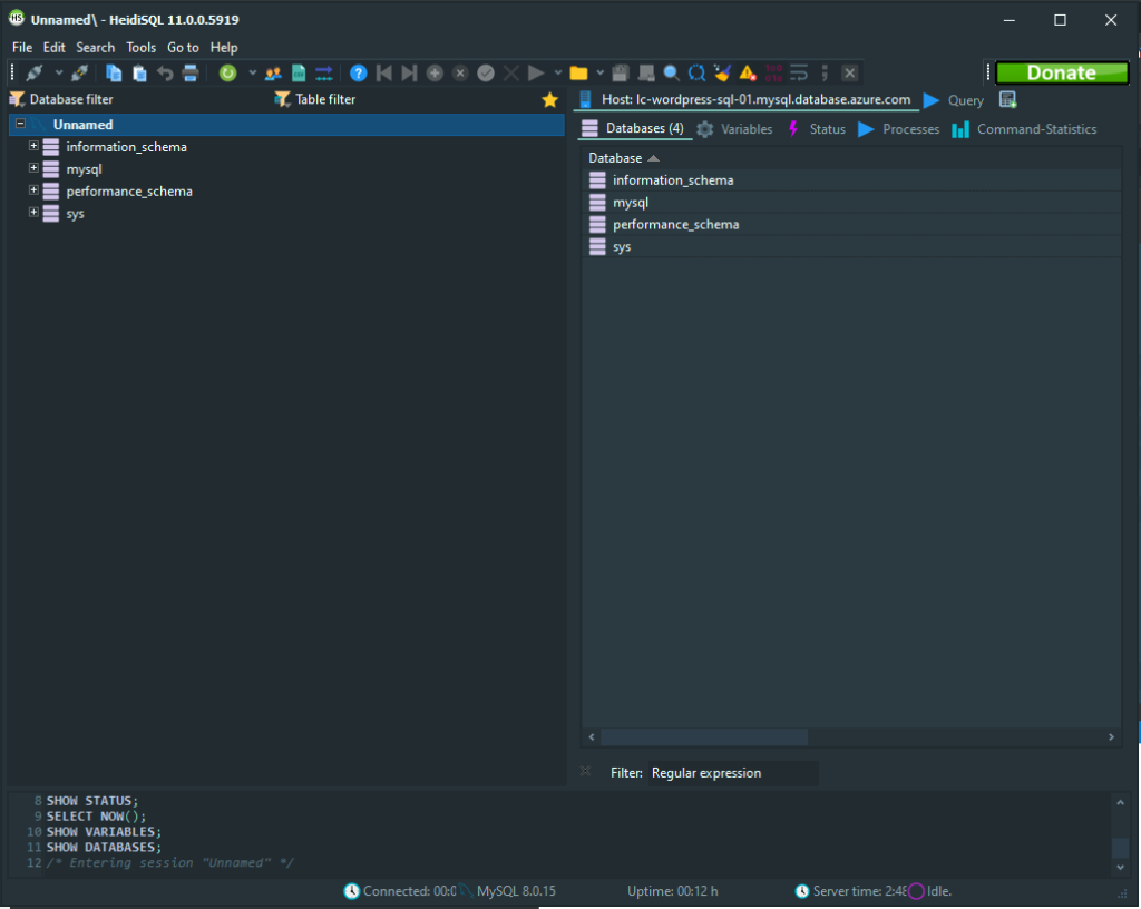 Verifying that the proper default databases show when connecting to the MySQL instance in HeidiSQL