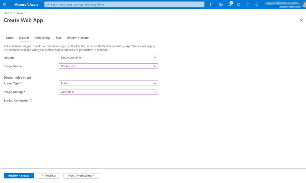 Entering the necessary Docker container details for the Azure Web App