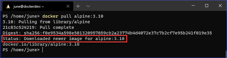 Docker Commands: docker pull (custom tag)