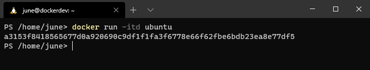 Docker Commands: docker run (interactive, detached)