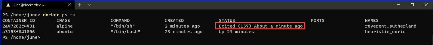 Docker Commands: docker ps (all containers)