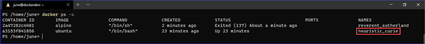 Docker container with a random name