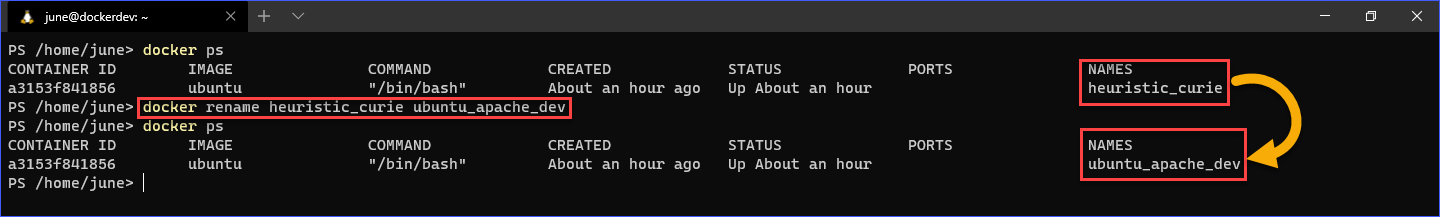 Docker Commands: docker rename