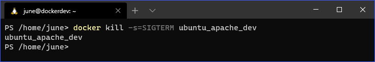 Docker Commands: docker kill