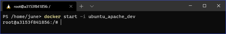 Docker Commands: docker kill (interactive)