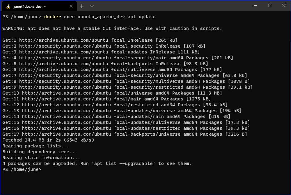Docker Commands: docker exec (non-interactive)