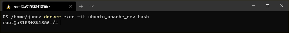 Docker Commands: docker exec (interactive)