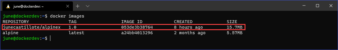 The new Docker image created by running docker build