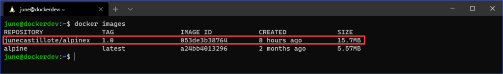 Docker Commands: docker build