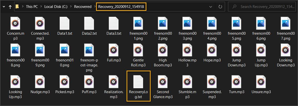 Recovered files saved to the destination directory