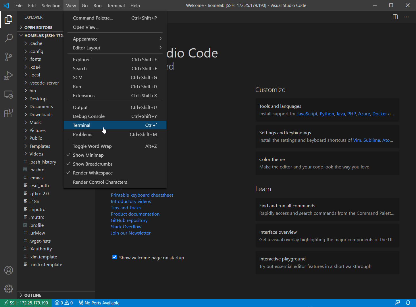 Microsoft visual studio code remote ssh