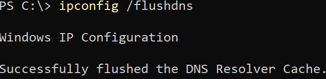 Purging the DNS Resolver Cache