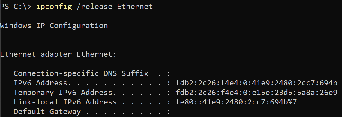 Releasing a DHCP address for the Ethernet NIC