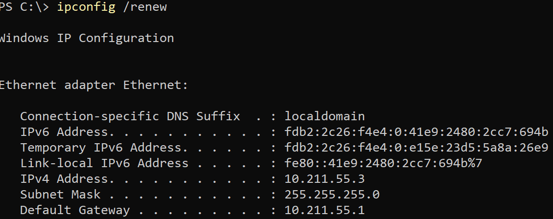 Getting a new DHCP lease on all NICs