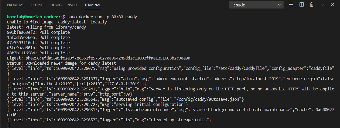 Running the Caddy Docker container