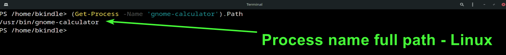 Using Powershell Get-Process to display a process's full file system path on Linux.