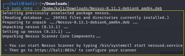 Command output showing the result of the Nessus application installation.