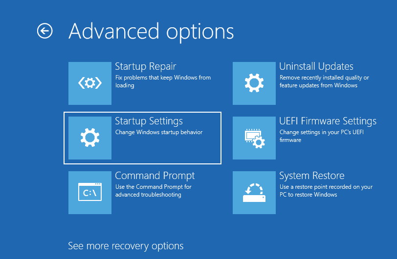 Selecting Startup Settings in the Advanced Options menu.