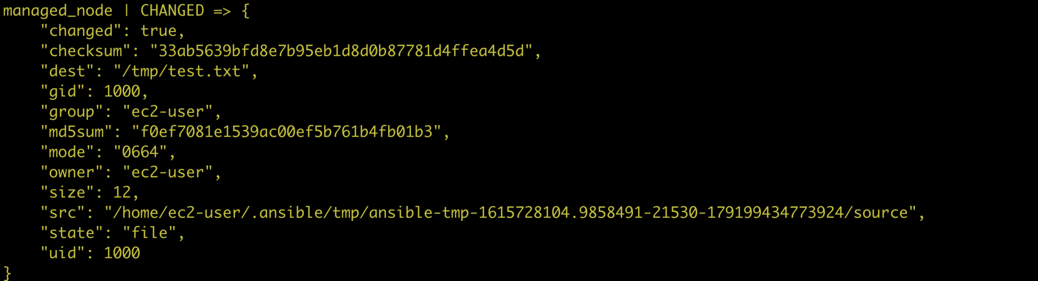 Ansible copy and other ways to copy files to remote hosts