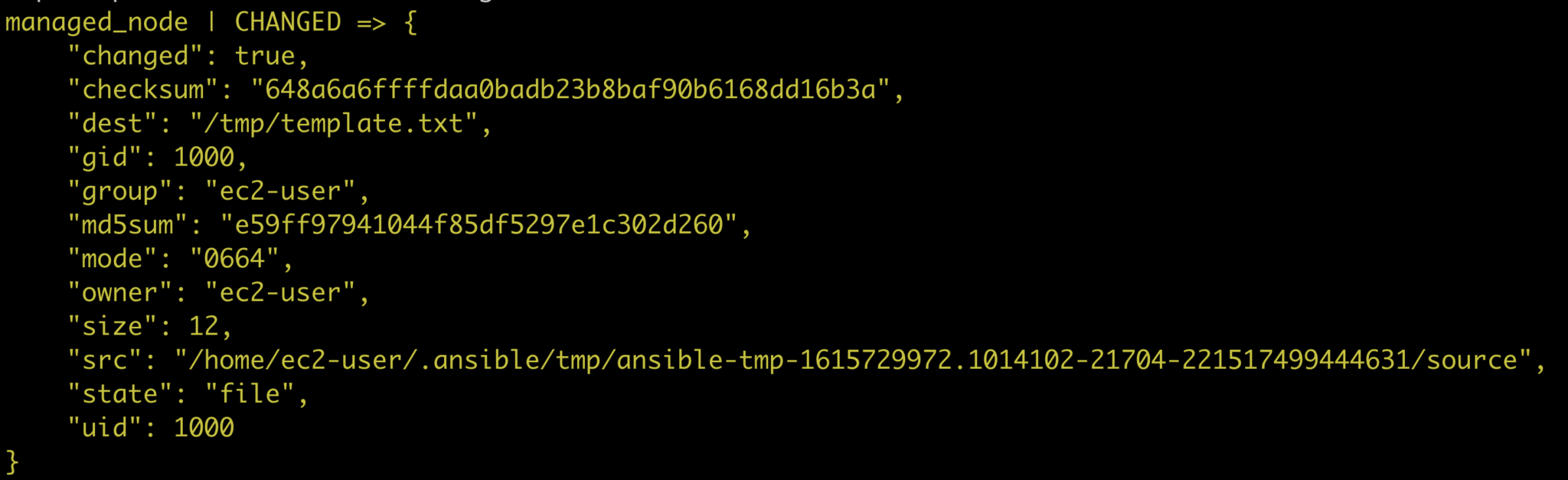 Ansible Copy and other Ways to Copy Files to Remote Hosts