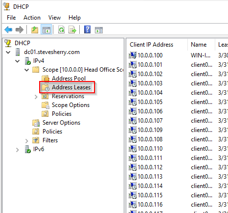 Display existing DHCP leases in use within your environment