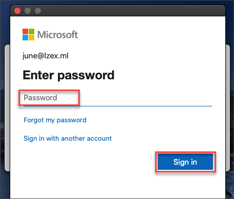 Signing-in with your password.