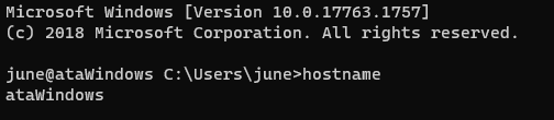 Getting the hostname of the SSH server