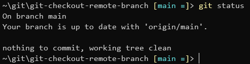 checkout a remote branch