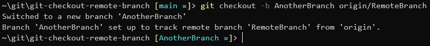 checkout a remote branch