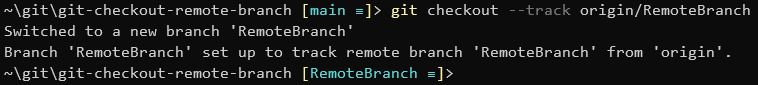 checkout remote branch