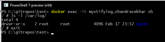 Docker exec user. Docker exec. Goto Command.