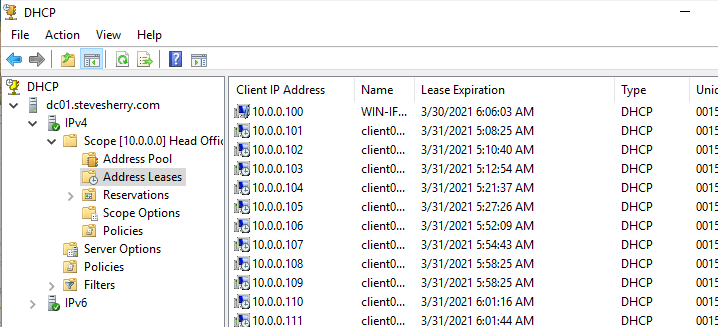 Managing DHCP Address Leases