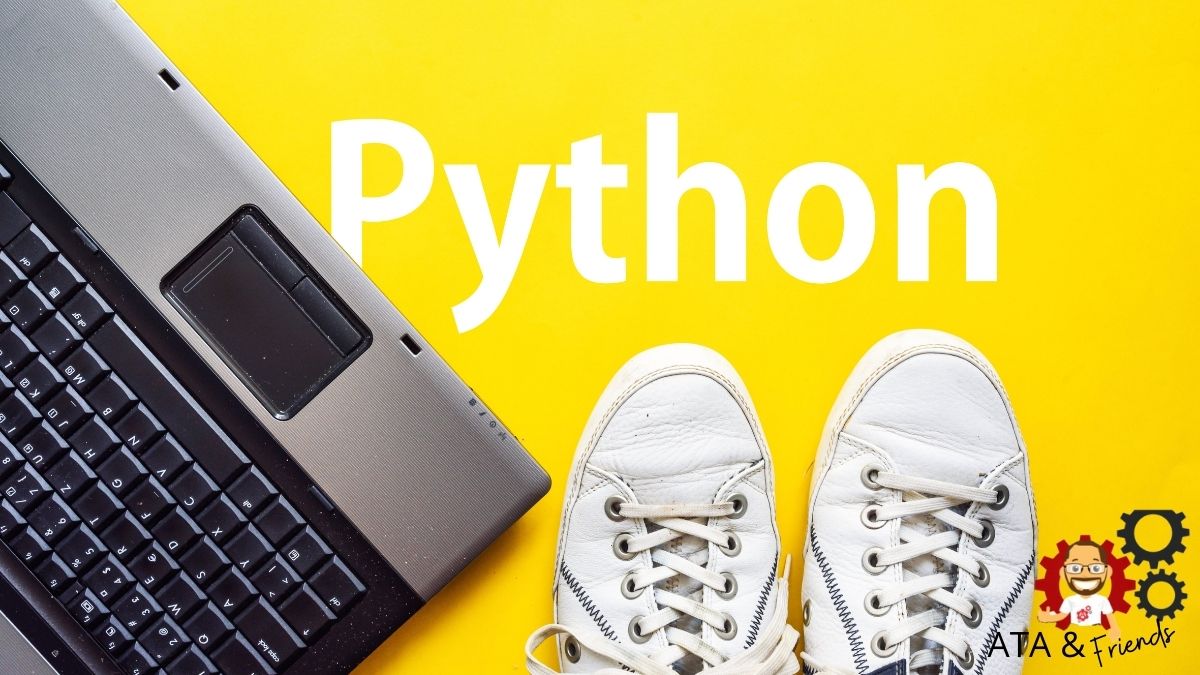 Discover and Master Python Functions for Newbies