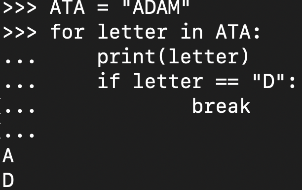 Demonstrating the break statement in a Python loop