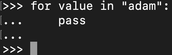 Using the pass statement