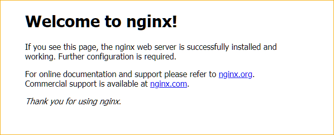 Accessing the nginx web interface