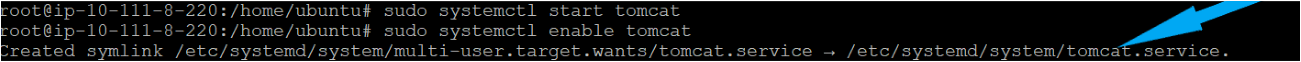 Stating and Enabling the tomcat service