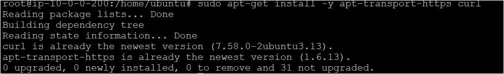 Installing the transport-https and curl package on each ubuntu system